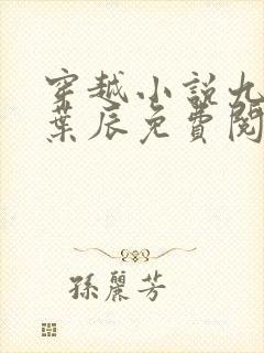 穿越小说九皇子叶辰免费阅读