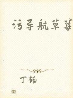 污导航草莓视频