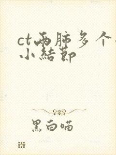 ct两肺多个微小结节