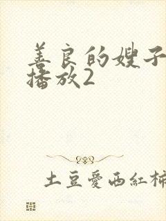 善良的嫂子在线播放2