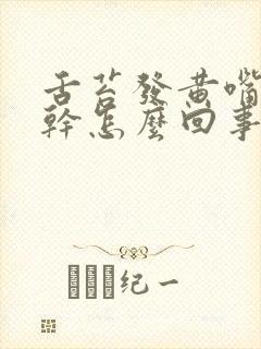 舌苔发黄嘴巴发干怎么回事