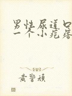 男性尿道口长了一个小疙瘩是怎么回事封面