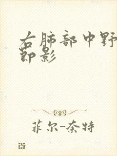 右肺部中野小结节影