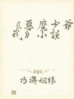 《恶魔少爷别惹我》小说