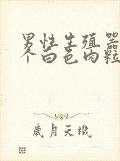 男性生殖器长出个白色肉粒是怎么了封面