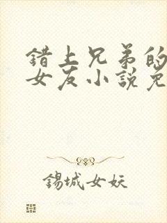 错上兄弟的女神女友小说免费阅读封面