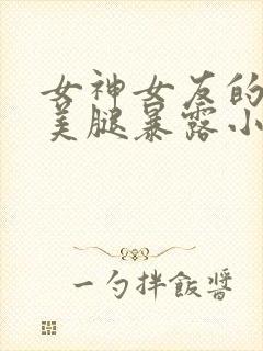 女神女友的丝袜美腿暴露小说