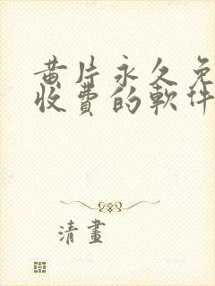 黄片永久免费不收费的软件app封面