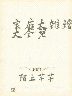 家庭大杂烩小说大全儿