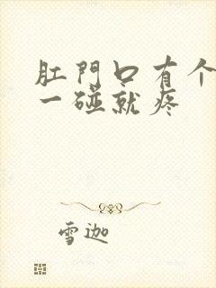 肛门口有个疙瘩一碰就疼