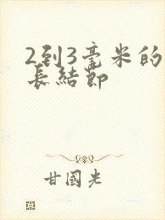 2到3毫米的肺长结节