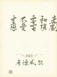 才不要和老板谈恋爱电视剧