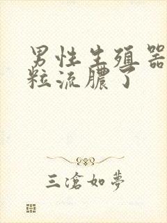 男性生殖器长肉粒流脓了