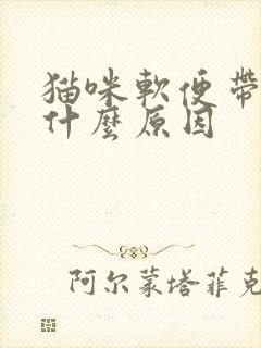 猫咪软便带血是什么原因