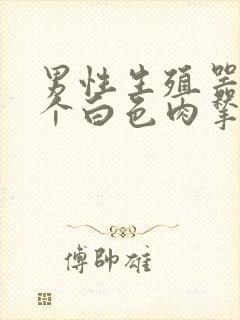 男性生殖器长了个白色肉揪