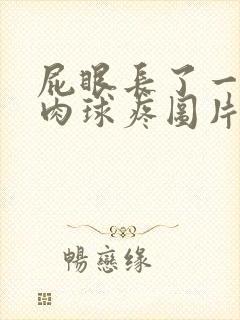 屁眼长了一个小肉球疼图片