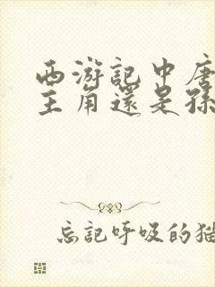 西游记中唐僧是主角还是孙悟空是主角