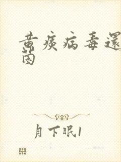 黄痰病毒还是细菌封面