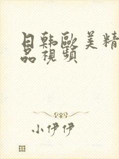 日韩欧美精品极品视频