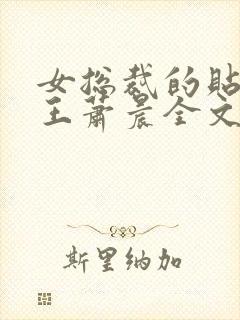 女总裁的贴身兵王萧晨全文阅读