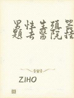 男性生殖器有问题去医院挂什么科