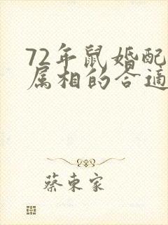 72年鼠婚配啥属相的合适