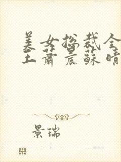 美女总裁全能兵王萧晨苏晴