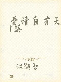 爱情自有天意第1集