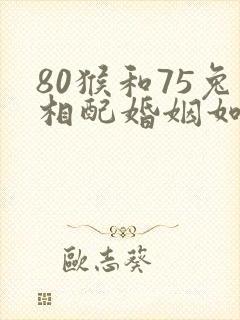 80猴和75兔相配婚姻如何