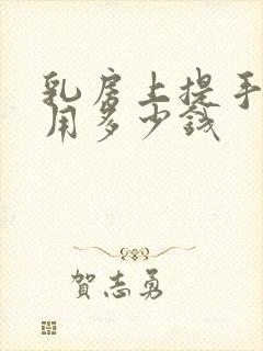 乳房上提手术费用多少钱