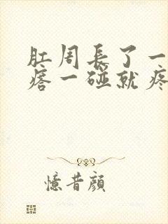 肛周长了一个疙瘩一碰就疼封面