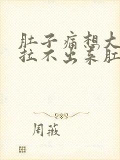 肚子痛想大便又拉不出来肛门坠胀