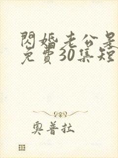 闪婚老公是豪门免费30集短剧