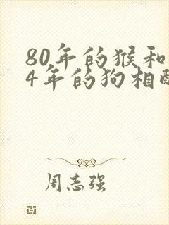 80年的猴和94年的狗相配吗