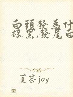 白头发为什么发根黑,发尾白