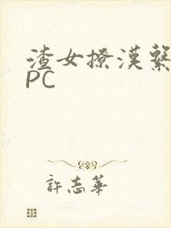 渣女撩汉系统NPC