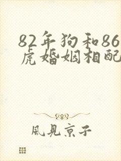 82年狗和86虎婚姻相配吗