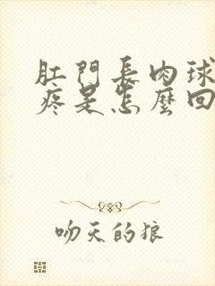 肛门长肉球有点疼是怎么回事封面