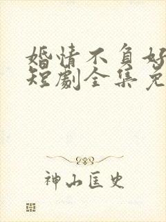 婚情不负好春光短剧全集免费观看