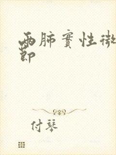 两肺实性微小结节