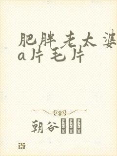 肥胖老太婆aaa片毛片