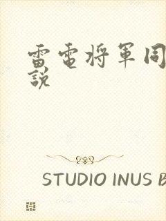 雷电将军同人小说封面