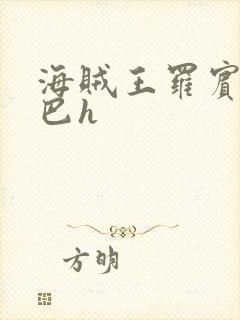 海贼王罗宾被乔巴h