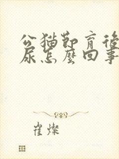 公猫节育后还乱尿怎么回事