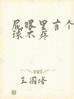 屁眼里有个小肉球不疼