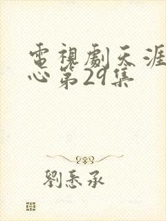 电视剧天涯赤子心第29集