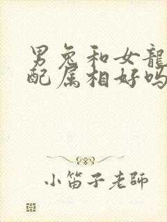 男兔和女龙的婚配属相好吗