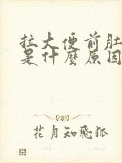 拉大便前肚子痛是什么原因