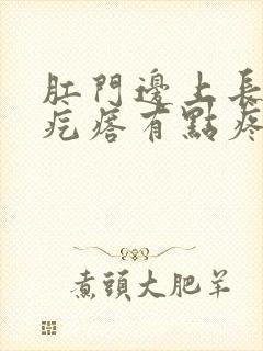 肛门边上长个硬疙瘩有点疼