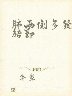 肺两侧多发微小结节封面